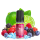 Le French Liquide - Polaris Berry Mix Liquid 10ml 6mg/ml basisches Nikotin