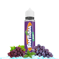 Liquideo Grape Fantasia 50ml Fruchtliquid Shortfill in...